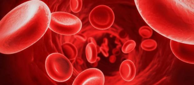 Danimarca, mamma preleva per 5 anni il sangue di suo figlio e lo getta nel water Danimarca, mamma preleva per 5 anni il sangue di suo figlio e lo getta nel water