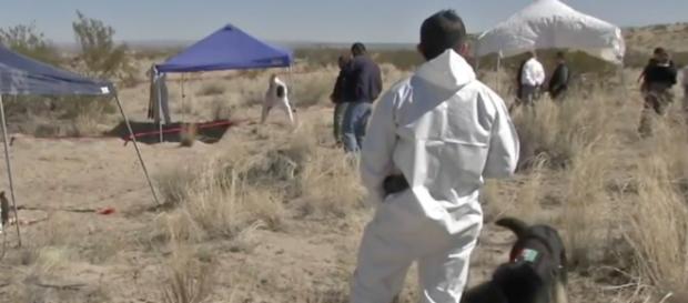 Hallan 69 cuerpos en una fosa clandestina en Tecomán. - noticieropty.com Hallan 69 cuerpos en una fosa clandestina en Tecomán. - noticieropty.com