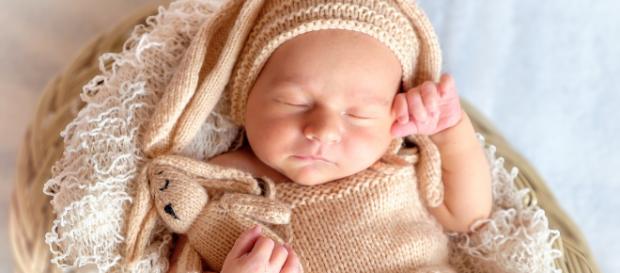 neonato ridotto in fin di vita dai genitori neonato ridotto in fin di vita dai genitori