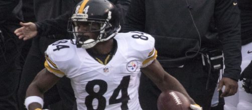 Antonio Brown could be on the way to Green Bay. - [Keith Ellison / Flikr]