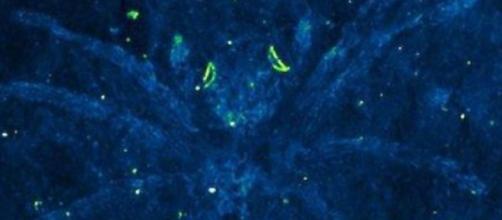 Risalente al buio quello che è successo dopo