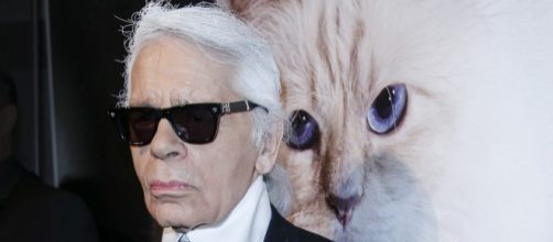 Karl Lagerfeld Says His Cat Choupette Made $3 Million Last Year | Time - time.com