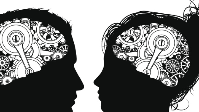 Il cervello umano è ancora fonte di mistero e scoperta!