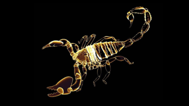 Oroscopo marzo, previsioni Scorpione: non rovinate questo periodo di serenità