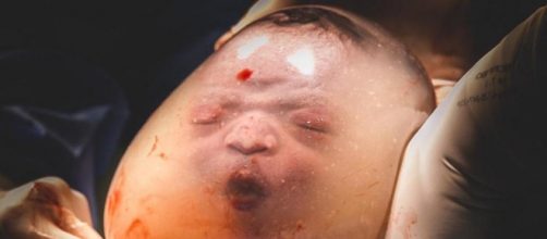 Bebê nasce em bolsa amniótica em Vila Velha-ES. (Janaína Brasil Fotografia/Reprodução/Facebook)