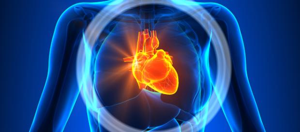 Las enfermedades cardiovasculares pueden prevenirse con dietas bajas en grasas y ejercicios físicos. - babygest.es Las enfermedades cardiovasculares pueden prevenirse con dietas bajas en grasas y ejercicios físicos. - babygest.es