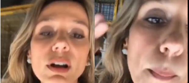 Após resgate histórico, Luisa Mell é ameaçada de morte e precisa da ajuda da policia (Foto: Instagram) Após resgate histórico, Luisa Mell é ameaçada de morte e precisa da ajuda da policia (Foto: Instagram)