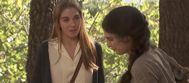 Il Segreto, trame: Julieta aiuterà Severo nella sua battaglia contro Eustaquio Il Segreto, trame: Julieta aiuterà Severo nella sua battaglia contro Eustaquio