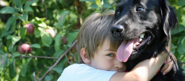 Pourquoi adopter en refuge au lieu d'acheter - L'Association ... - aqss.ca Pourquoi adopter en refuge au lieu d'acheter - L'Association ... - aqss.ca