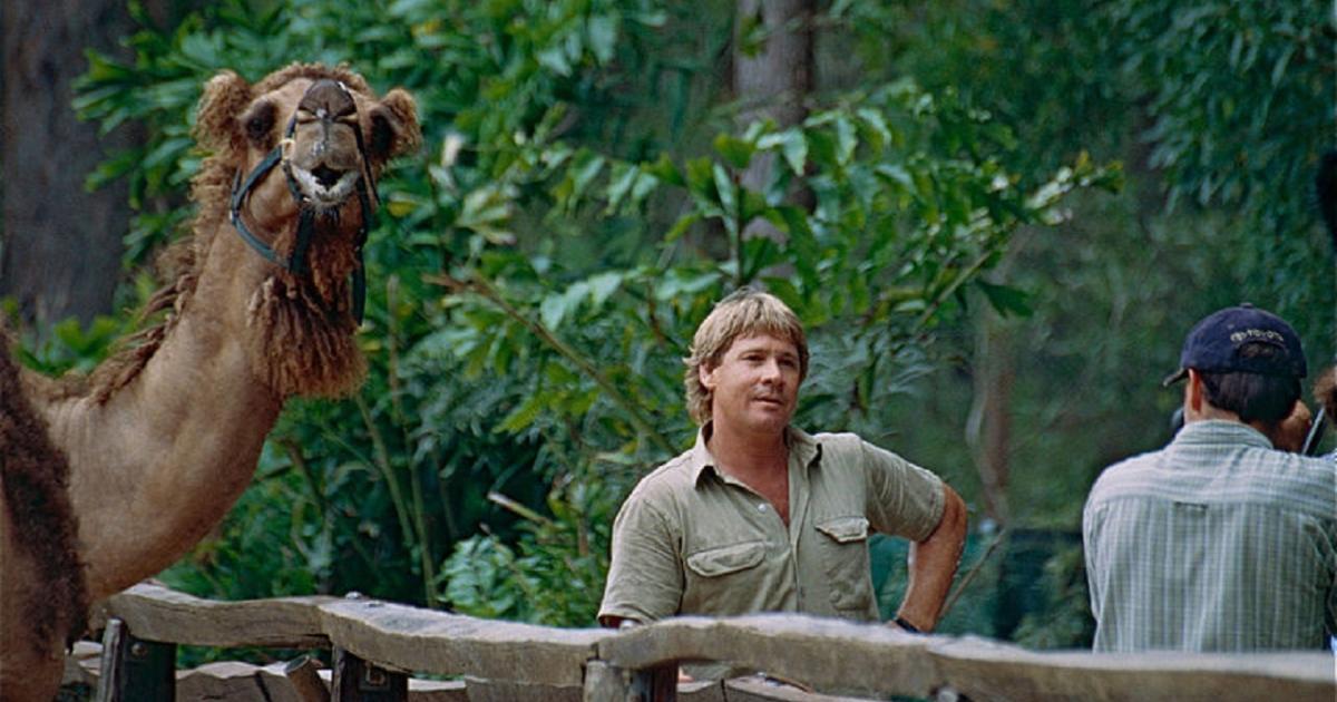 5 Twitter reactions to PETA s  attack on Steve  Irwin  s 