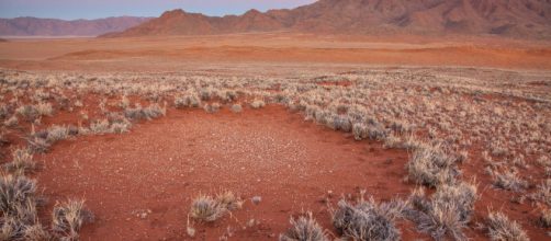 I Cerchi delle Fate della Namibia non sono più un mistero. Quando ... - cafeafrica.it