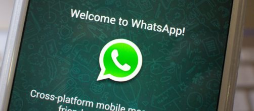 10 anos de Whatsapp. (Foto: Reprodução)