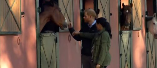 Meghan and Harry enjoy time at the stables. - [Today / YouTube screencap]
