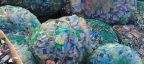 Photogallery - Europa apoya la prohibición de comercializar productos plásticos de un solo uso