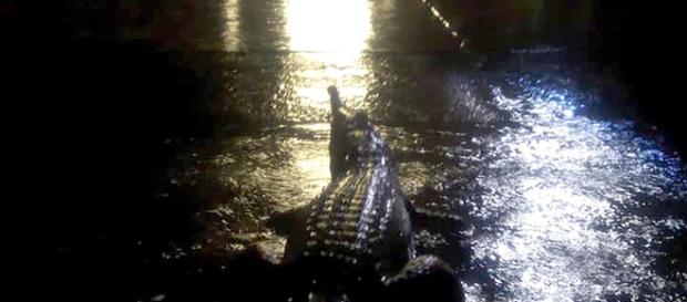 Moradora de Townsville fotografou um crocodilo em uma inundação na Austrália. (Foto/Reprodução) Moradora de Townsville fotografou um crocodilo em uma inundação na Austrália. (Foto/Reprodução)