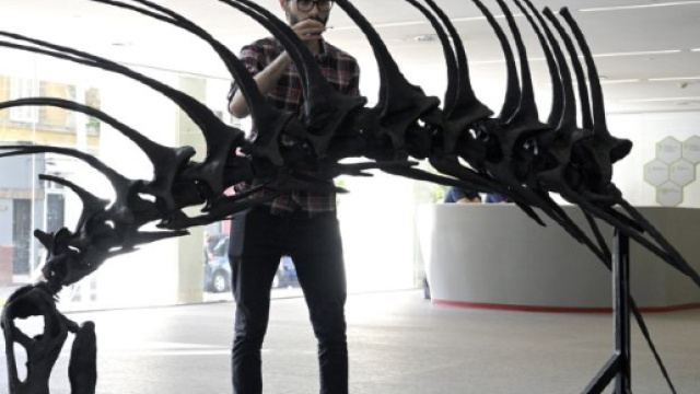 Dinosaur that defended itself with spiny backbone found in Patagonia - yahoo.com