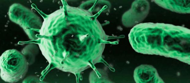 El vínculo entre bacterias y neuronas El vínculo entre bacterias y neuronas