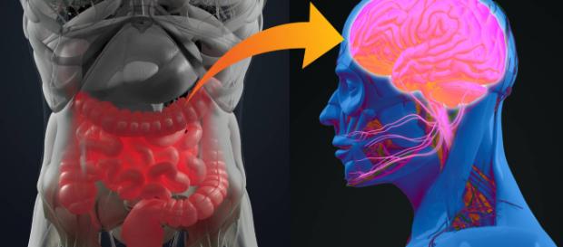 Pessoas que sofrem de depressão muitas vezes não têm alguns tipos de bactéria em seu intestino. (Crédito: ChrisChrisW via site r7.com) Pessoas que sofrem de depressão muitas vezes não têm alguns tipos de bactéria em seu intestino. (Crédito: ChrisChrisW via site r7.com)