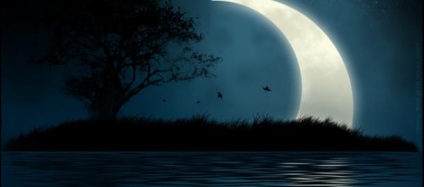 Oroscopo di domani 15 febbraio 2019 | Astrologia, classifica stelline e previsioni di venerdì con Luna in Cancro Oroscopo di domani 15 febbraio 2019 | Astrologia, classifica stelline e previsioni di venerdì con Luna in Cancro