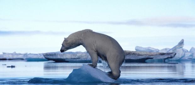 10 mosse e ti sistemo il cambiamento climatico - Green.it - green.it 10 mosse e ti sistemo il cambiamento climatico - Green.it - green.it