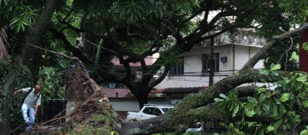 Al menos seis muertos por un temporal en Río de Janeiro. - com.ar Al menos seis muertos por un temporal en Río de Janeiro. - com.ar