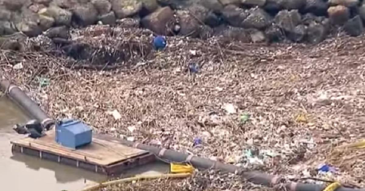 California Seal Beach an eyesore with debris washed down by