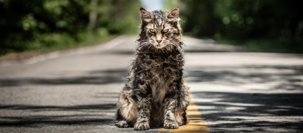 New trailer released for Stephen King's "Pet Sematary" - CBS News - cbsnews.com New trailer released for Stephen King's "Pet Sematary" - CBS News - cbsnews.com