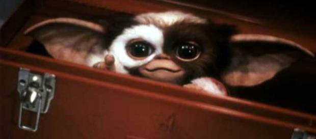 Les Gremlins seront de retour dans une série animée pour Warner ... - lesinrocks.com Les Gremlins seront de retour dans une série animée pour Warner ... - lesinrocks.com