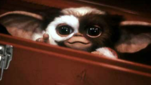 Les Gremlins seront de retour dans une série animée pour Warner ... - lesinrocks.com