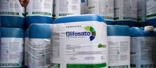 Glifosato, rischi per la salute: potrebbe alterare lo sviluppo anche a dosi basse