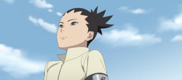 Shikadai ha marcado un nuevo destino Shikadai ha marcado un nuevo destino