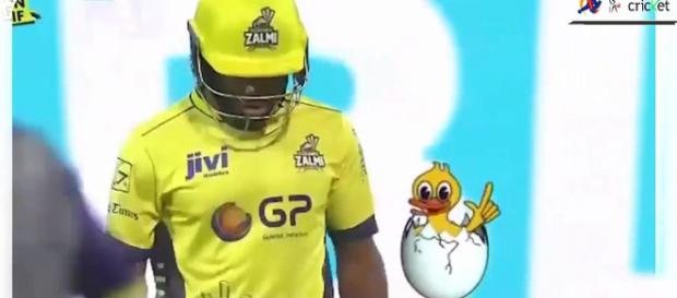 Peshawar Zalmi and Quetta Gladiators live streaming on PTV Sports (Image via PTV Sports screencap) Peshawar Zalmi and Quetta Gladiators live streaming on PTV Sports (Image via PTV Sports screencap)