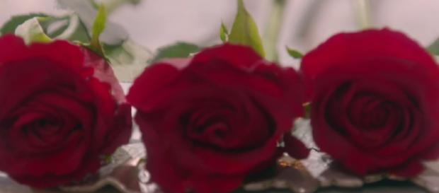The Bachelor has a tough decision as he selects four women for hometown visits (Image credit:The Bachelor UK/Channel 5) The Bachelor has a tough decision as he selects four women for hometown visits (Image credit:The Bachelor UK/Channel 5)