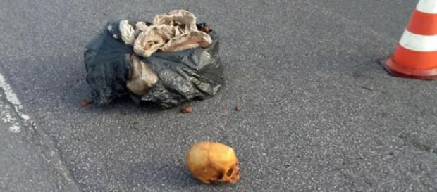 Ossos humanos caíram de um caminhão caçamba na pista da rodovia (Divulgação/Polícia Militar) Ossos humanos caíram de um caminhão caçamba na pista da rodovia (Divulgação/Polícia Militar)