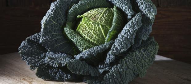 Alcune curiosità sul cavolo nero. Alcune curiosità sul cavolo nero.