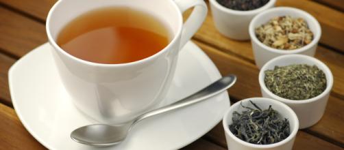 Chá e os principais benefícios para a saúde - Foto: acervo Blasting News