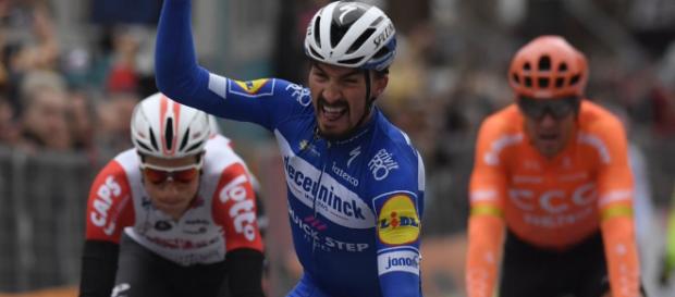 Julian Alaphilippe dopo Pomarance conquista anche la tappa di Jesi. Julian Alaphilippe dopo Pomarance conquista anche la tappa di Jesi.