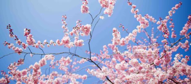L’equinozio di primavera è già arrivato L’equinozio di primavera è già arrivato