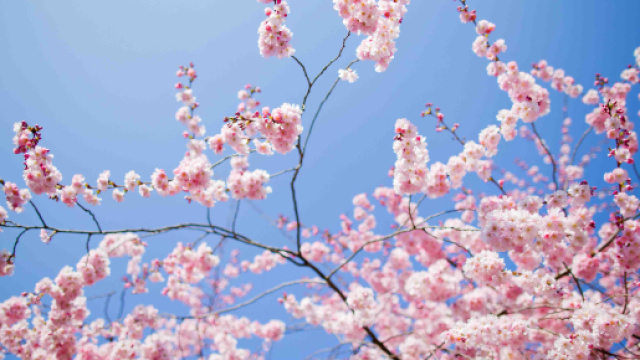 L&rsquo;equinozio di primavera &egrave; gi&agrave; arrivato