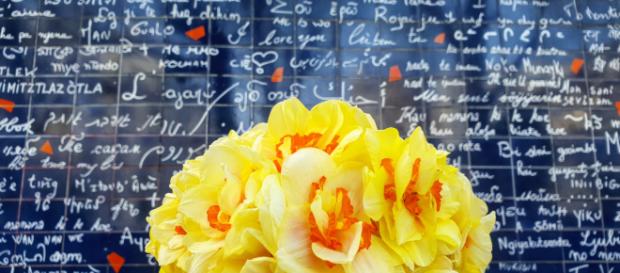 Le mur des Je t'aime a Parigi attira ogni giorno migliaia di romantici e curiosi Le mur des Je t'aime a Parigi attira ogni giorno migliaia di romantici e curiosi