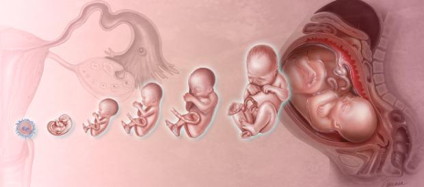 Colombia, bambina nasce con la gemella al suo interno: operata Colombia, bambina nasce con la gemella al suo interno: operata