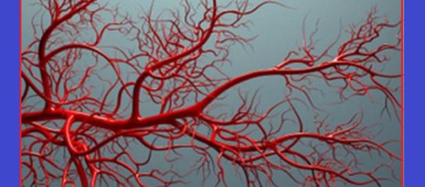 Obesità, diabete e altre malattie metaboliche riducono la reattività vascolare, anticamera di problemi cardiovascolari anche molto gravi. Obesità, diabete e altre malattie metaboliche riducono la reattività vascolare, anticamera di problemi cardiovascolari anche molto gravi.