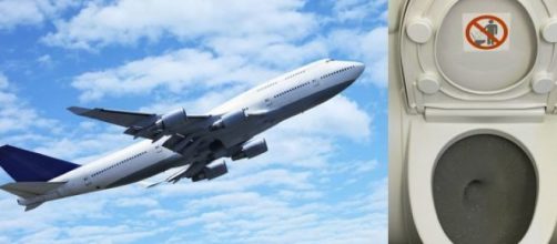 Airplane passenger licks toilet seat in viral video