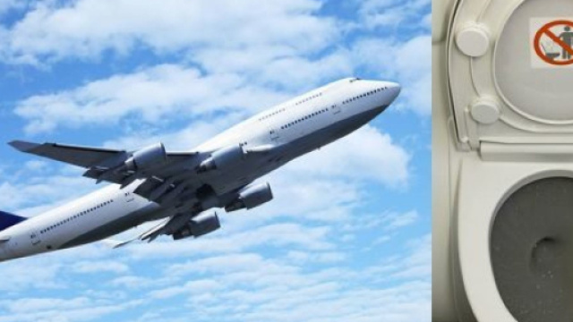 Airplane passenger licks toilet seat in viral video
