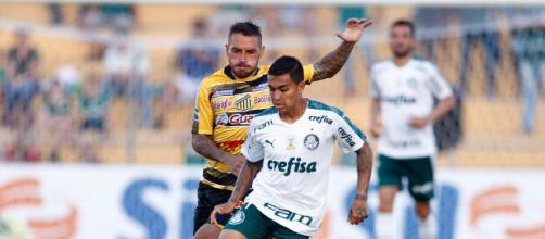 Novorizontino x Palmeiras, um dos confrontos das quartas de final. (Foto: Arquivo/ Blasting News)