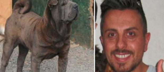 Sbranato a morte dal suo stesso cane, l'amico più fedele: trovato dalla moglie in una pozza di sangue - Il Mattino Sbranato a morte dal suo stesso cane, l'amico più fedele: trovato dalla moglie in una pozza di sangue - Il Mattino