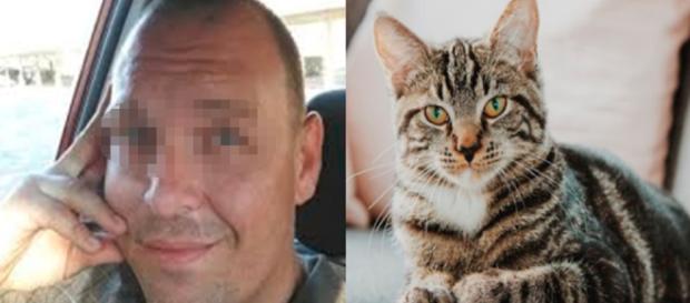 Sorpreso ad avere rapporti intimi col suo gatto sotto la doccia: arrestato maniaco. Animale agonizzante - Teleclubitalia Sorpreso ad avere rapporti intimi col suo gatto sotto la doccia: arrestato maniaco. Animale agonizzante - Teleclubitalia
