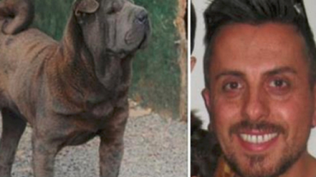 Sbranato a morte dal suo stesso cane, l'amico più fedele: trovato dalla moglie in una pozza di sangue - Il Mattino