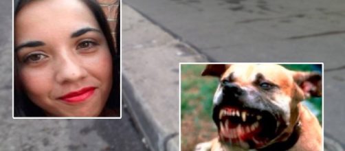 Altro orrore dopo Roma: 33enne sbranata e uccisa dai suoi pitbull mentre porta da mangiare - Teleclubitalia