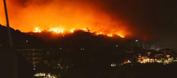 Liguria in fiamme, incendio a Cogoleto: chiusa la A10, decine le famiglie evacuate Liguria in fiamme, incendio a Cogoleto: chiusa la A10, decine le famiglie evacuate